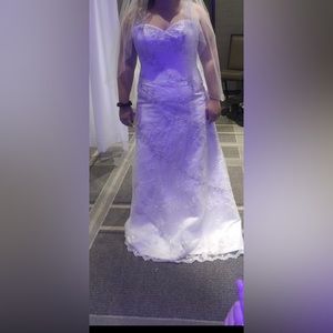 Haute bridal couture KB collection